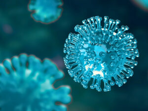Coronavirus Business Support