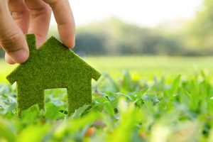 Someone holding a home made out of grass to represent the green homes deal