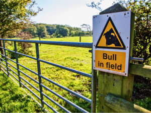 Farmers encouraged to keep everyone safe around livestock