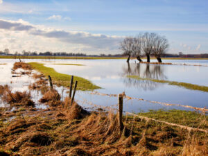 Flooding support fund for farmers opened