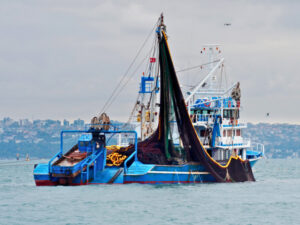 Extended Fisheries & Seafood Scheme now closed