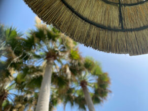 Managing workforce holiday: A guide for business owners
