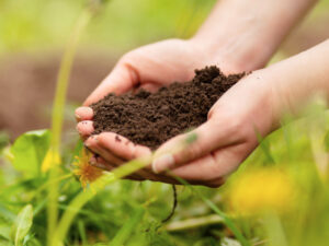 2024 Sustainable Farming Incentive agreements now live