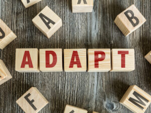 Adapting to change: Strategies for business success
