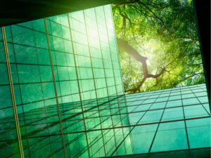 Building a more sustainable business